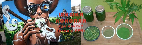 хмурый Медногорск