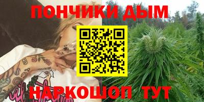 прущие грибы Азнакаево