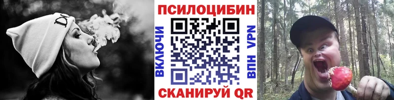 как найти   Заречный  Галлюциногенные грибы ЛСД 
