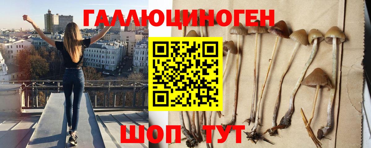 Псилоцибиновые грибы Magic Shrooms  Вход с VPN  Заречный 