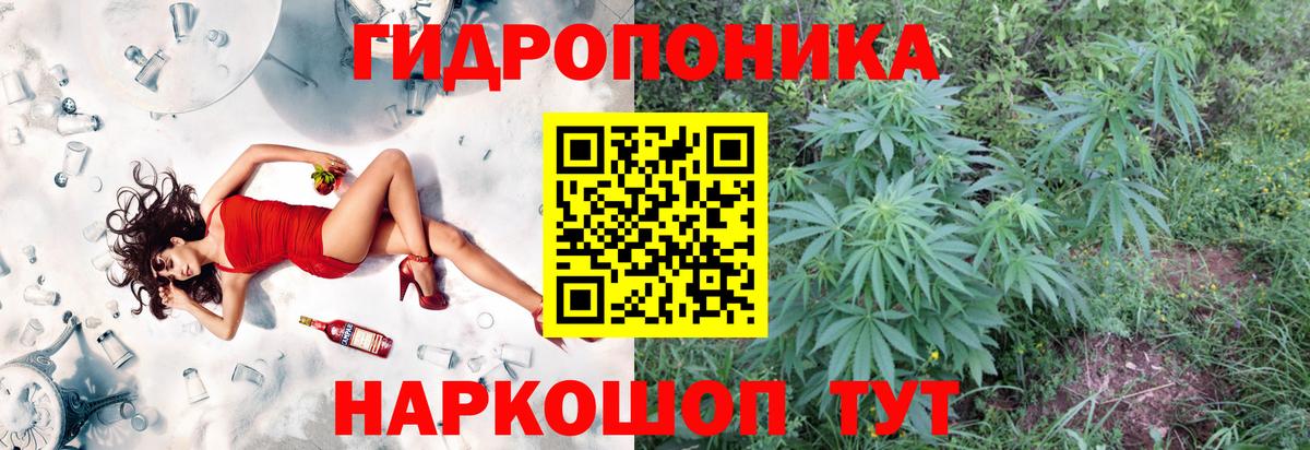 Бошки Шишки VHQ Заречный